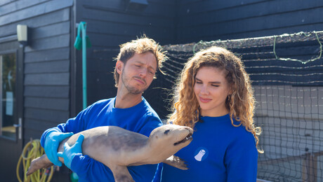 Zeehonden, zalmpap en poep